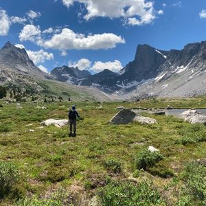 Meet your Posher, Ben